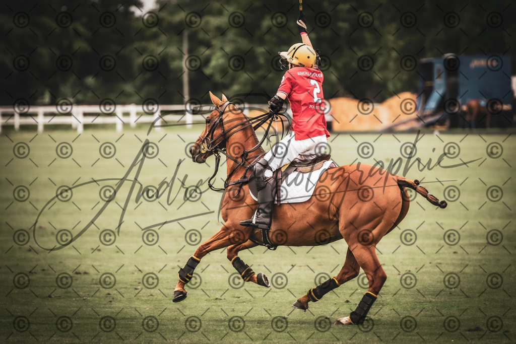 POL_2731-2 | andre_photographic