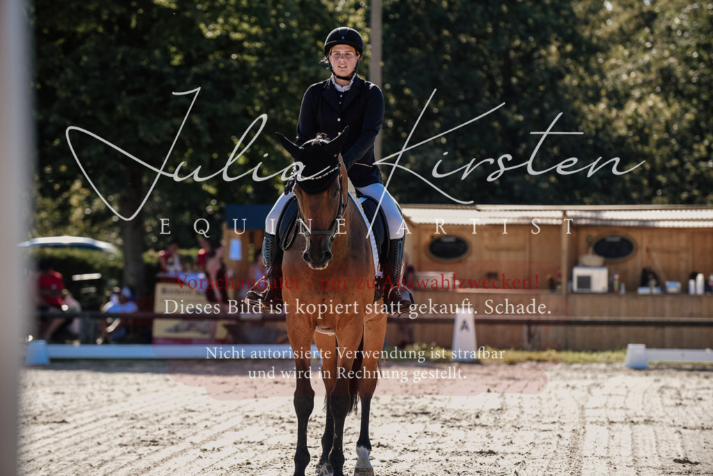 DSC_0323 | Pferde- und Turnierfotografie in Westsachsen. Pferdeportraits, Auftragszeichnungen und intuitive Kunst.