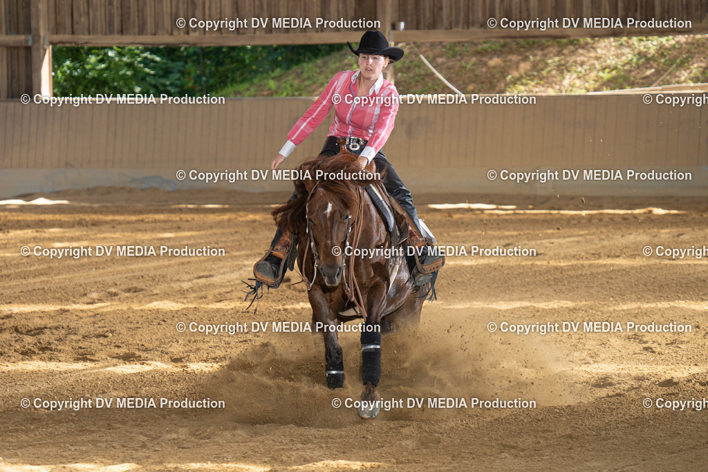 DSC00390 | dv-media-shop - Realisiert mit Pictrs.com