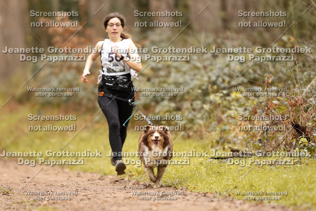 Dog Paparazzi - Speedhunter Mannheim  2025-156 | Dog Paparazzi Jeanette Grottendiek Fotografie & Videografie