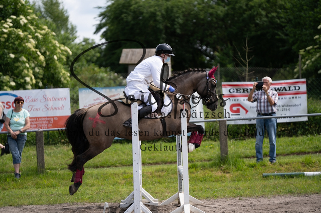 A7V04660 | Pferdefotograf