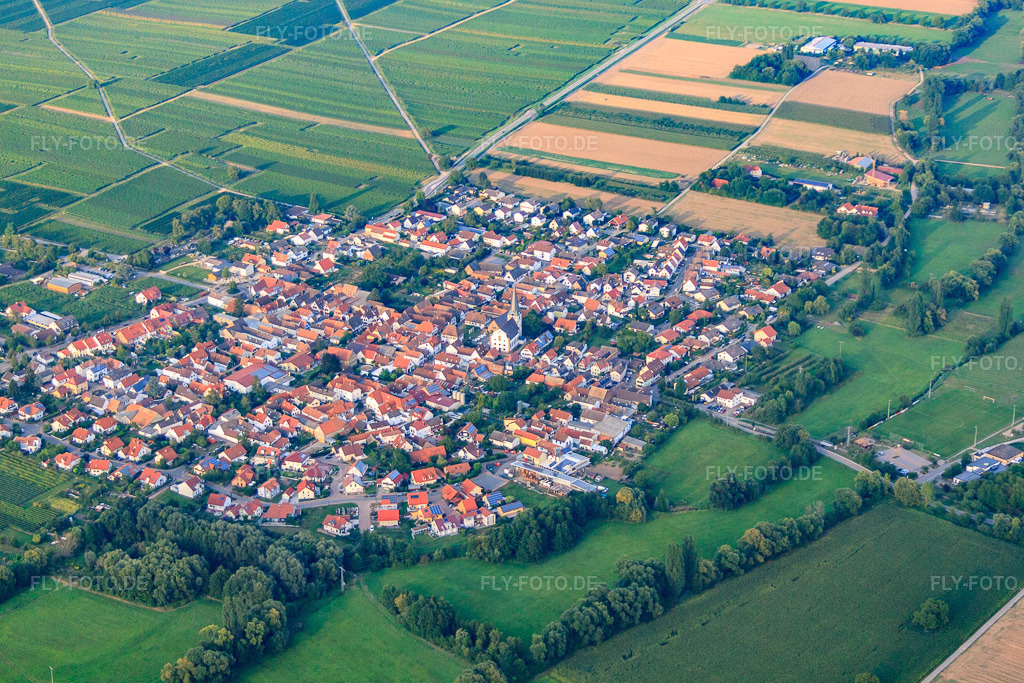 Luftbild: Dorfansicht aus Südwesten in Venningen im Bundesland Rheinland-Pfalz in Deutschland. Foto: IMG_59573.jpg vom 30.08.2013 durch Werner Riehm/FLY-FOTO.de