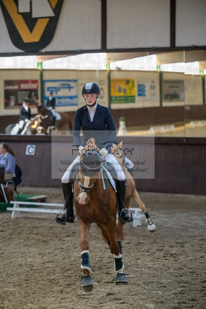 Reitturnier Voxtrup | Entdecke hochwertige Reitturnierfotos von Foto Oger. Professionell, emotional und authentisch – jetzt Lieblingsmomente im Shop bestellen.Deutschlandweite Turnierfotografie. - Realized with Pictrs.com