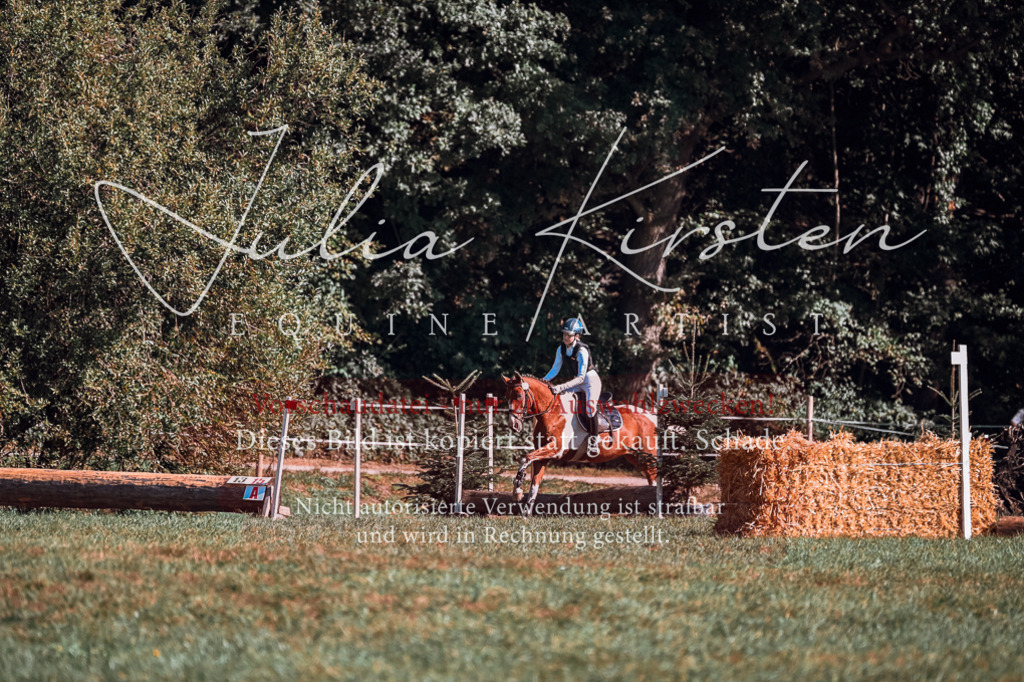 DSC_1035 | Pferde- und Turnierfotografie in Westsachsen. Pferdeportraits, Auftragszeichnungen und intuitive Kunst.