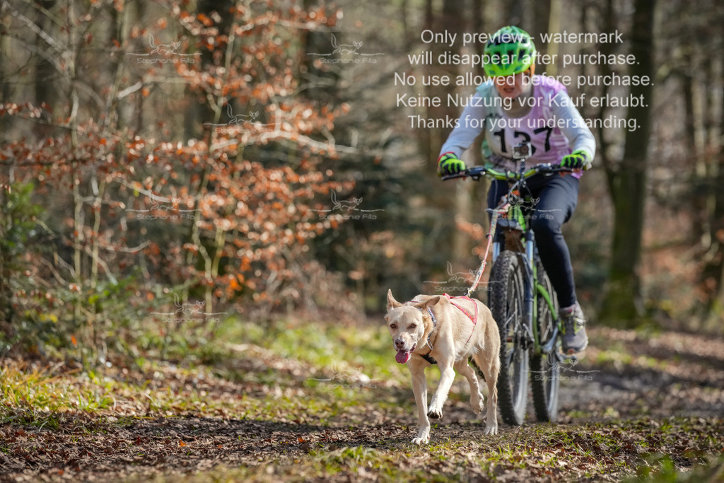 So3_Bike_2-12 | stephaniefillaphotographie - Realisiert mit Pictrs.com
