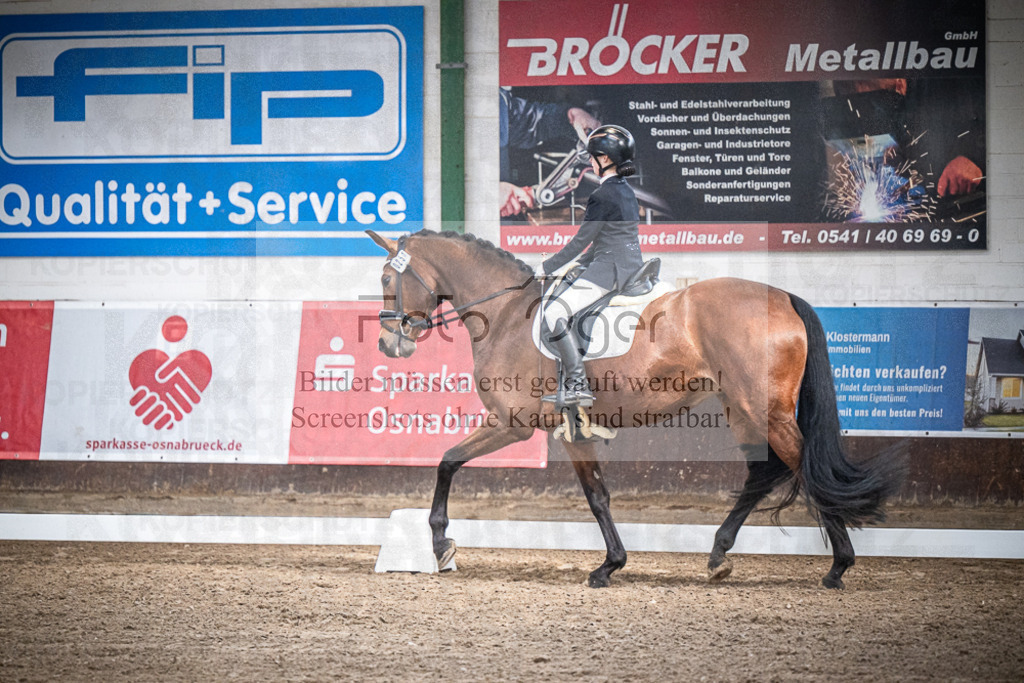 DOS_0675 | Entdecke hochwertige Reitturnierfotos von Foto Oger. Professionell, emotional und authentisch – jetzt Lieblingsmomente im Shop bestellen.Deutschlandweite Turnierfotografie. - Realisiert mit Pictrs.com