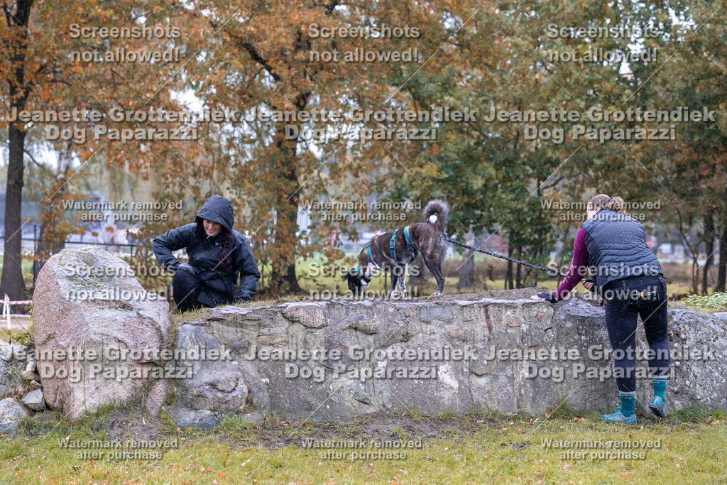 Dog Paparazzi - SD CaniX Championship 2025-776 | Dog Paparazzi Jeanette Grottendiek Fotografie & Videografie - Realisiert mit Pictrs.com