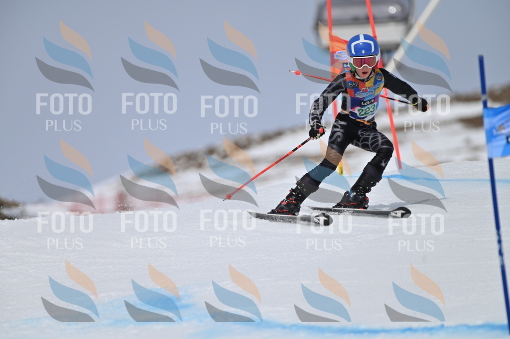 BGV_4376 | holidayphoto