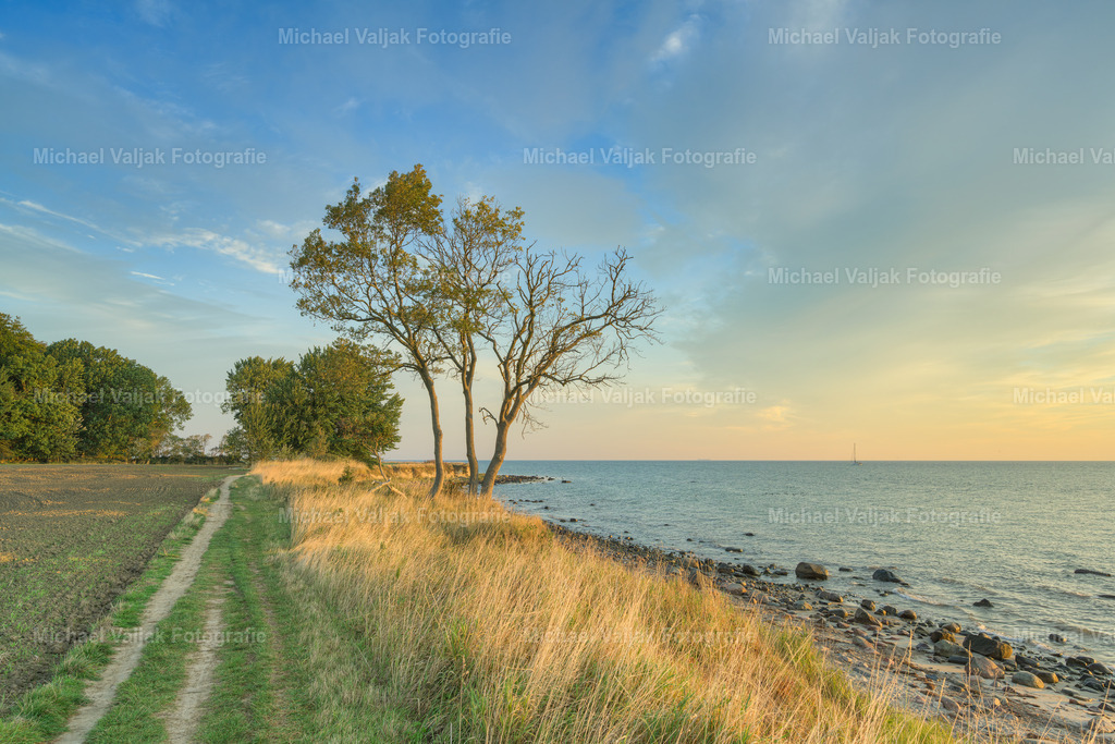 Steilküste Staberhuk auf Fehmarn | Die Steilküste Staberhuk auf Fehmarn ist ein beliebtes Ausflugsziel für Naturliebhaber und Fotografen. Besonders in der Morgendämmerung bietet sich ein atemberaubender Anblick, wenn die ersten Sonnenstrahlen die Felsen und das Meer in warme Farben tauchen. Die Steilküste ist Naturschutzgebiet und beherbergt eine vielfältige Flora und Fauna. Hier kann man die Ruhe genießen und die Schönheit der Natur bewundern. - Realisiert mit Pictrs.com