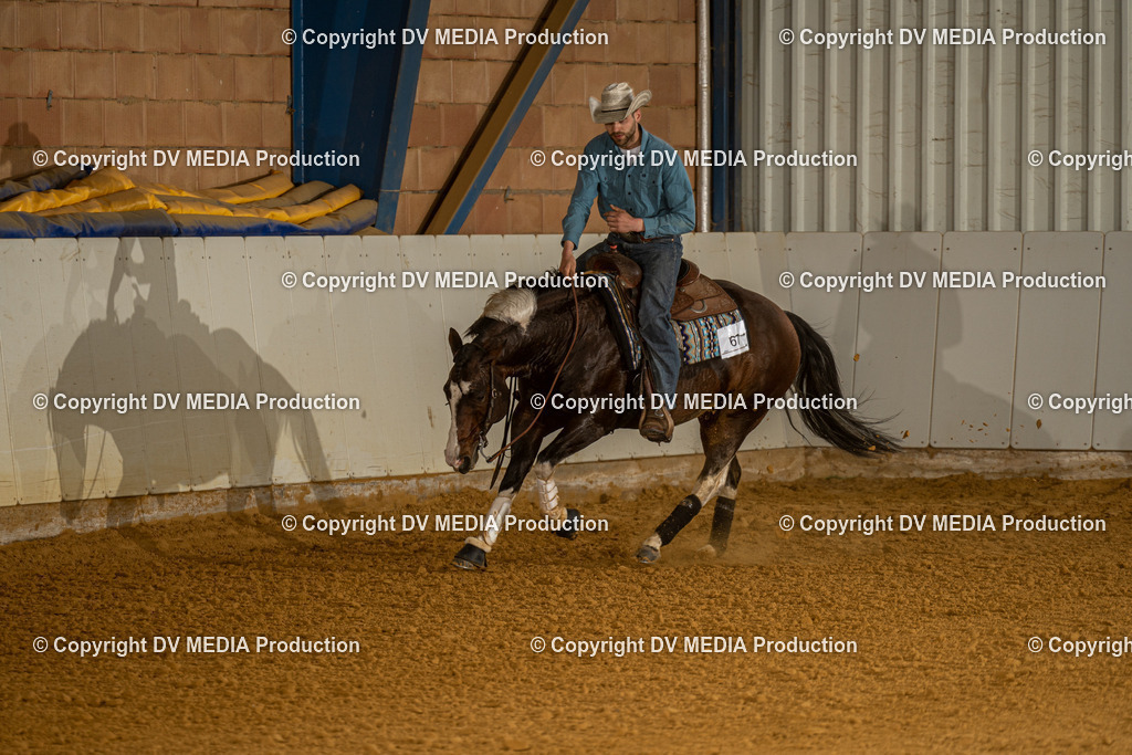 MIT01286 | dv-media-shop - Realisiert mit Pictrs.com