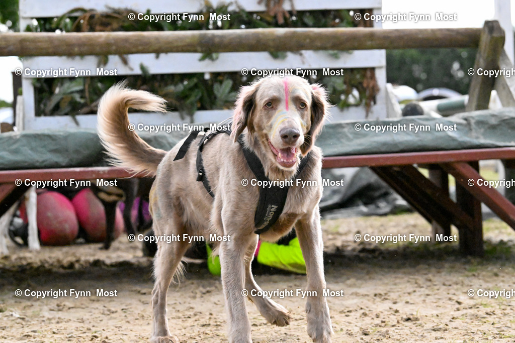 DSC_7894 | Hallo und herzlich Willkommen auf meiner Shop-Seite Fynn Most.

Ich wünsche Dir viel Spaß beim stöbern durch die Bilder, wenn Du Fragen hast oder Bilder vermisst, kannst du mir gerne eine Nachricht schreiben. - Realisiert mit Pictrs.com