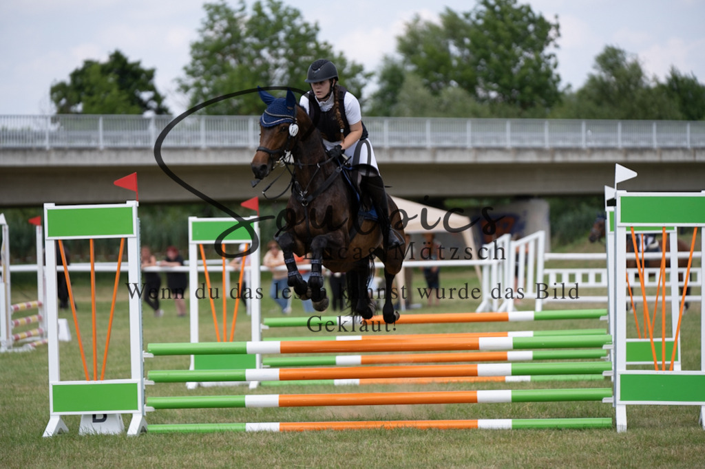 A7V00230 | Pferdefotograf