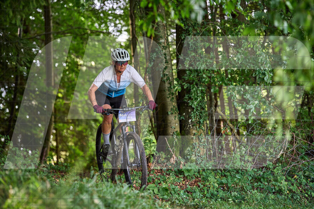Betriebszentrum Laubenbachmühle, Frankenfels, Österreich - 13. September 2025: Dirndltal Race - Fun und Trophy RaceFotograf: Martin Bihounek / martinbihounek.com | 13. September 2025 Betriebszentrum Laubenbachmühle, Frankenfels, Österreich : Dirndltal Race - Fun und Trophy Race •••••Photo by: Martin Bihounek / martinbihounek.comInsta: @martinbihounekcom