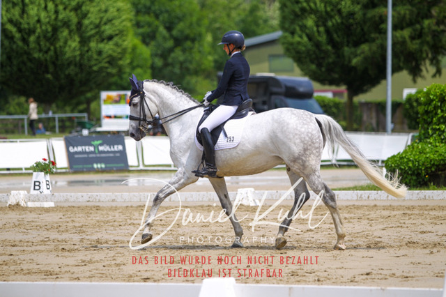 DKP40650 | Turniersportfotografie; Pferdefotografie; Dressurfotografie