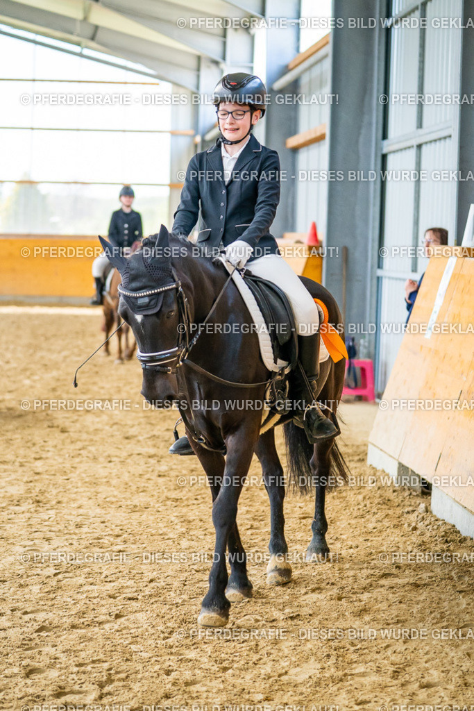 DSC01517 | Pferdegrafie