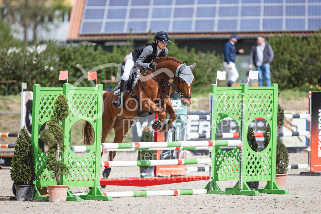 250419_Frühlingsfest_A-Stil1-478 | Deine schönsten Turniermomente als professionelle Fotos! Entdecke hochwertige Pferdesport-Fotografie im Online-Shop. Jetzt Fotos finden & bestellen!