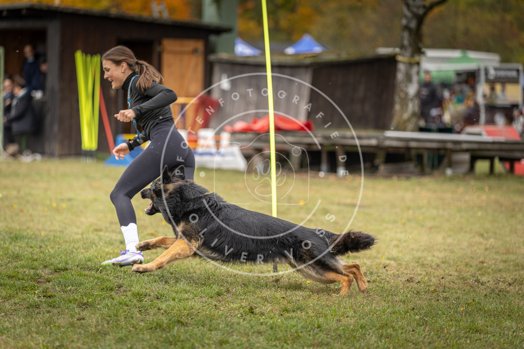 Pfotenfotografie_DV3A7456 | Hundefotografie, Tierfotograf, Pfotenfotografie, Fotoshooting Hund, Hunde Portrait, Hundesport, Hundeportraits, Heideshooting, Hunde, Sportfotograf, Hundefotograf, Turnierhundsport, THS,  - Realisiert mit Pictrs.com