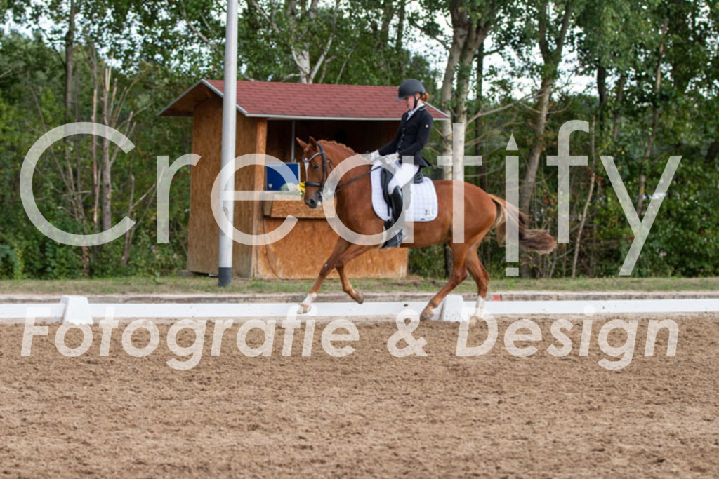 IMG_5582 | Creatify Fotografie