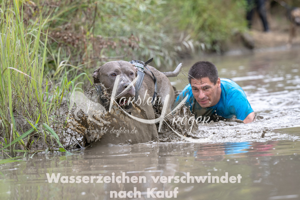 1233_ZZ90123 | kk-dogfotos
