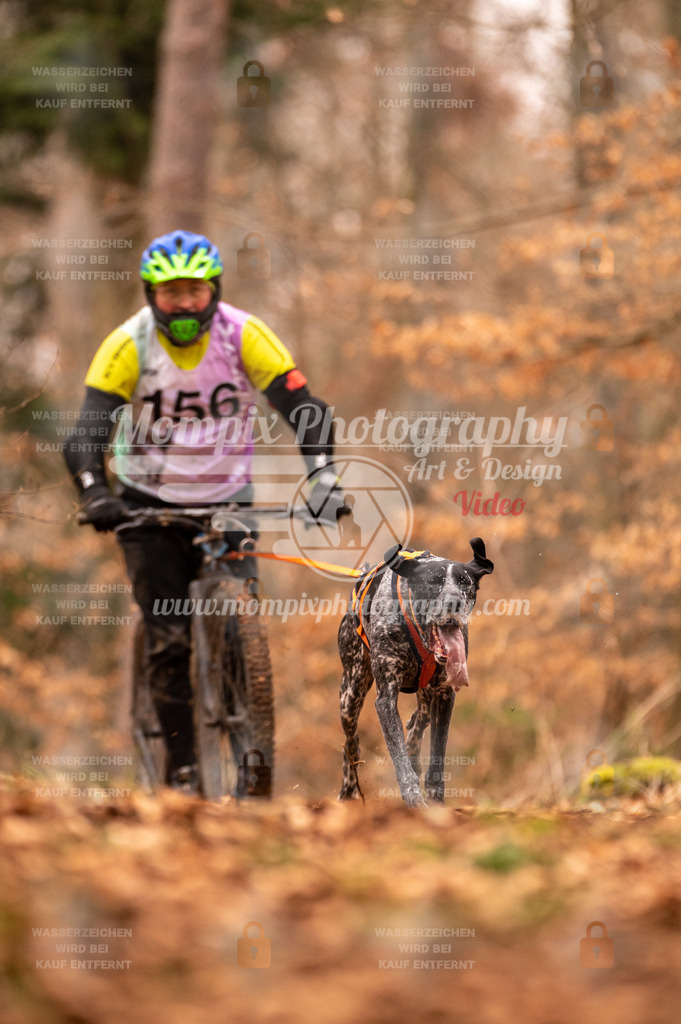 AKM_ST_2023_SAM_Scooter-19 | PayLife