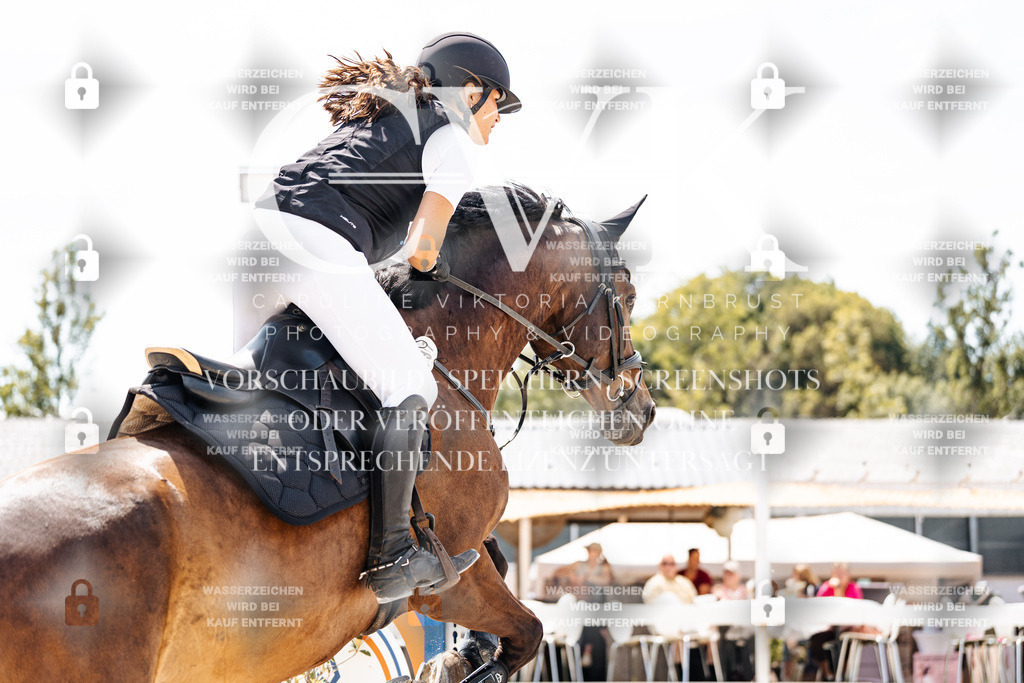 CK908120 | Turnierfotografie Pferdefotografie Trier Rheinland-Pfalz Pferdesport Reitsport Tierfotografie Sportfotografie Pferdevideo Pferdevideografie Equestrianvideography equestrianphotography  - Realisiert mit Pictrs.com