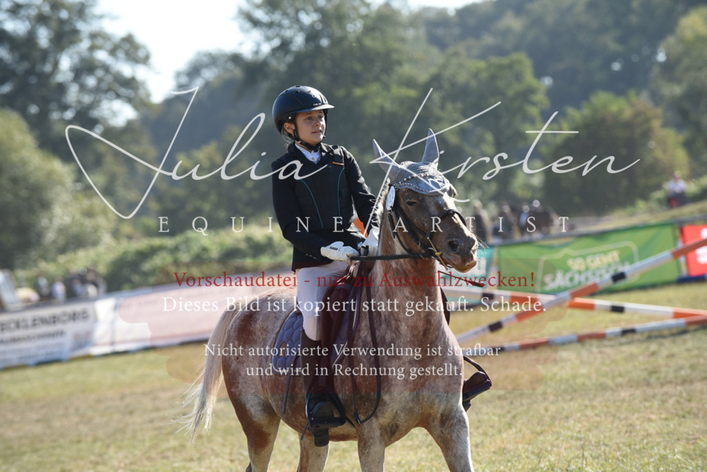 DSC_5895 | Pferde- und Turnierfotografie in Westsachsen. Pferdeportraits, Auftragszeichnungen und intuitive Kunst.