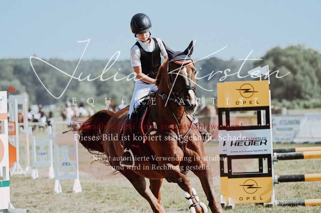 DSC_9461 | Pferde- und Turnierfotografie in Westsachsen. Pferdeportraits, Auftragszeichnungen und intuitive Kunst.