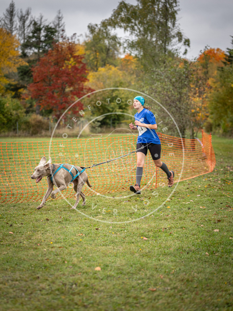 Pfotenfotografie_DV3A3304 | Hundefotografie, Tierfotograf, Pfotenfotografie, Fotoshooting Hund, Hunde Portrait, Hundesport, Hundeportraits, Heideshooting, Hunde, Sportfotograf, Hundefotograf, Turnierhundsport, THS,  - Realisiert mit Pictrs.com