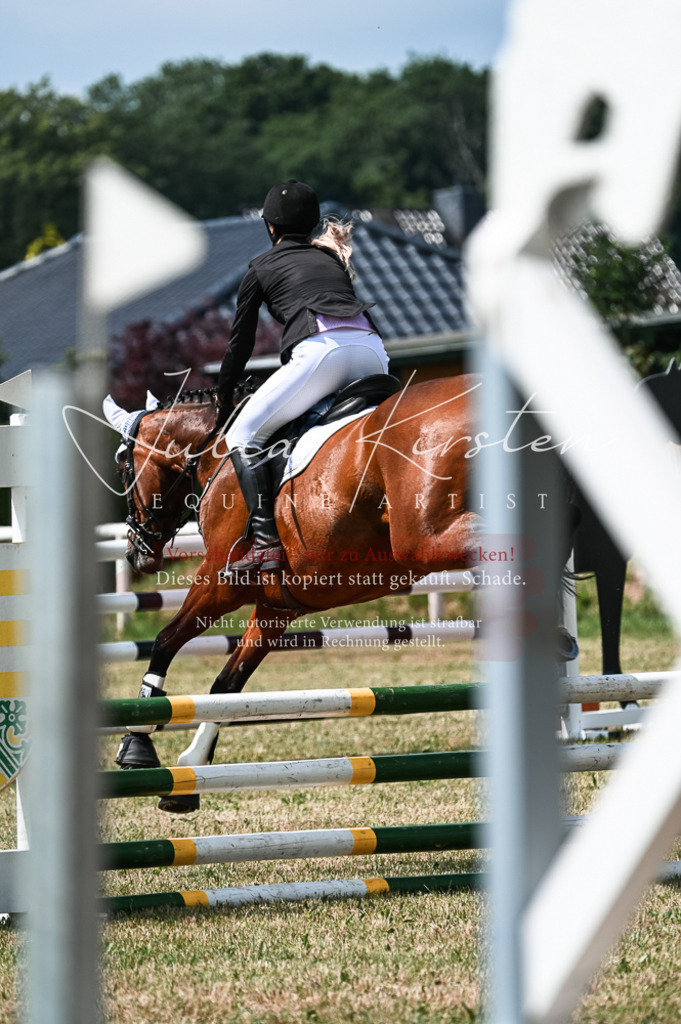 DSC_9381 | Pferde- und Turnierfotografie in Westsachsen. Pferdeportraits, Auftragszeichnungen und intuitive Kunst.