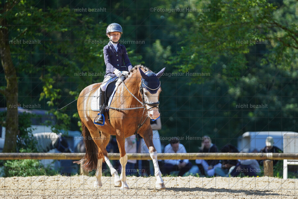 20240706-FAH04896 | Grafing Turnierfotos, Reitverein Ebersberg, Turnierfotografen Bayern, reitsportbilder, Pferdefotograf, reitsportfotograf, Sportbilder, Reitsportfotografie, Fotoagentur Herrmann, Turnierfotograf
