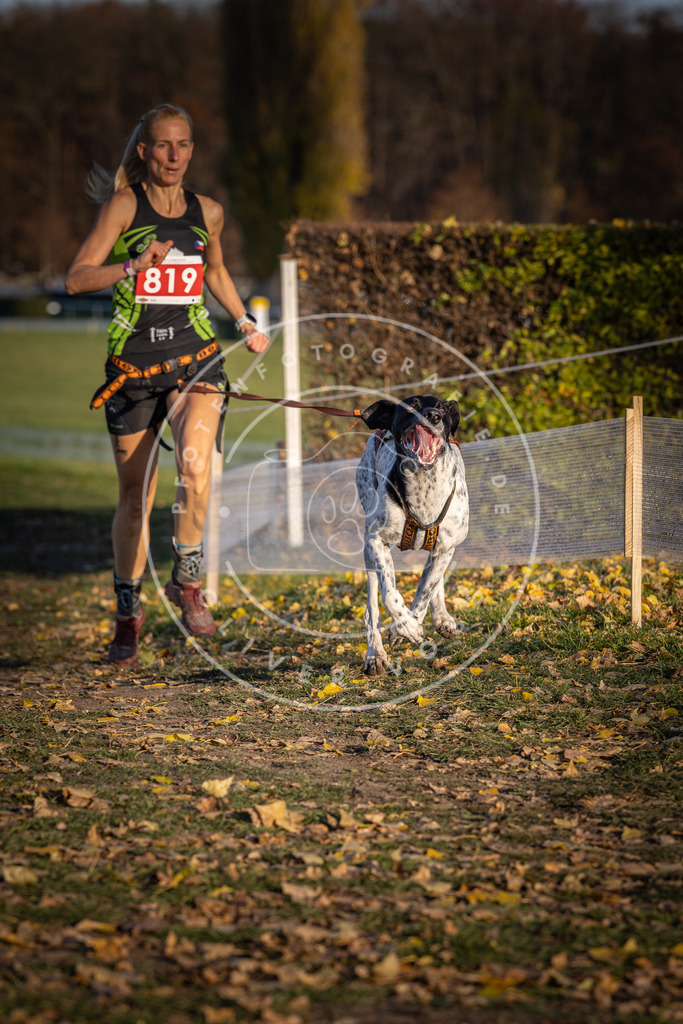 CaniXpix_DV3A3227 | Hundefotografie, Tierfotograf, Pfotenfotografie, Fotoshooting Hund, Hunde Portrait, Hundesport, Hundeportraits, Heideshooting, Hunde, Sportfotograf, Hundefotograf, Turnierhundsport, THS,  - Realisiert mit Pictrs.com
