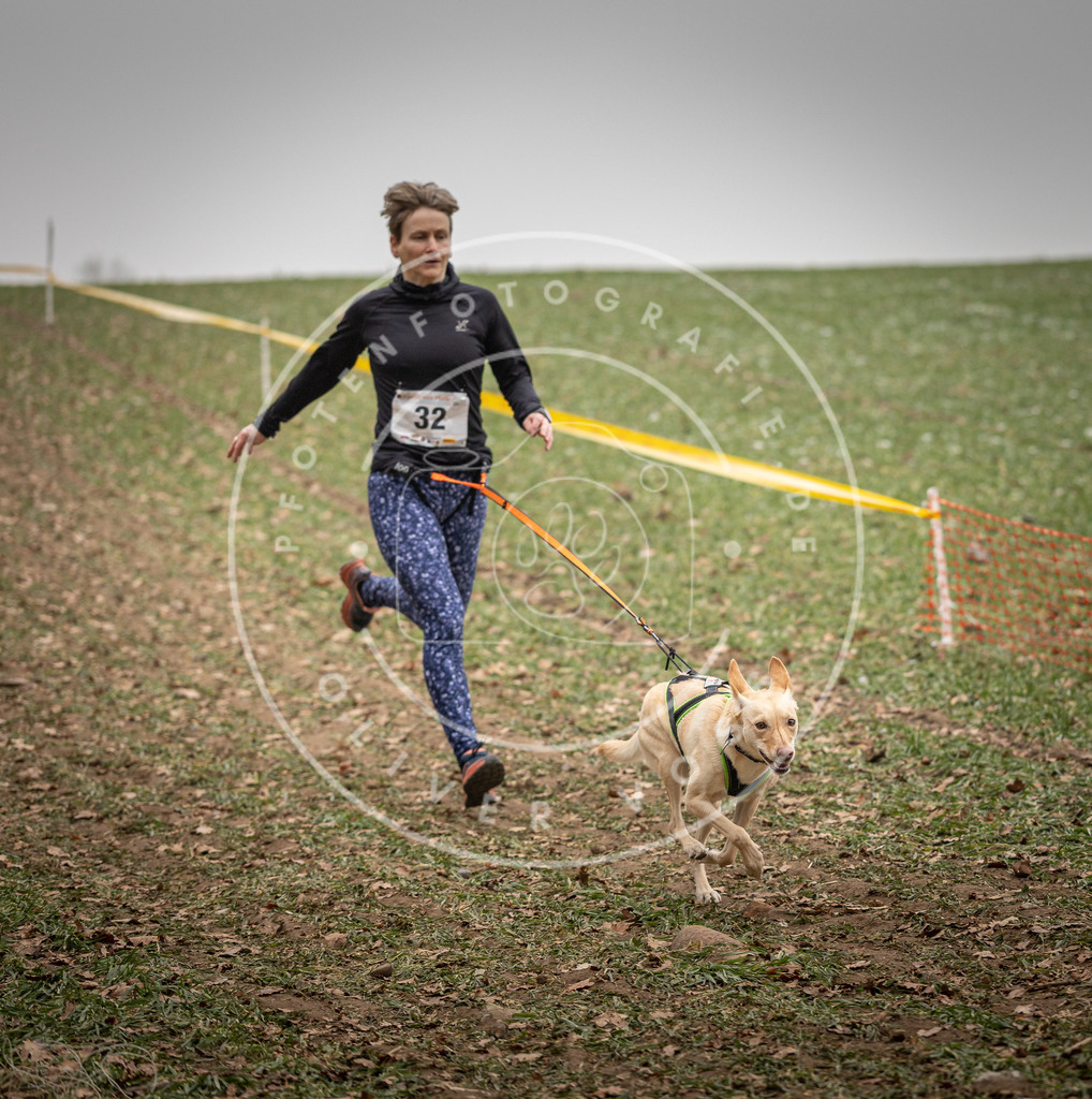 Pfotenfotografie_DV3A4922 | Hundefotografie, Tierfotograf, Pfotenfotografie, Fotoshooting Hund, Hunde Portrait, Hundesport, Hundeportraits, Heideshooting, Hunde, Sportfotograf, Hundefotograf, Turnierhundsport, THS,  - Realisiert mit Pictrs.com