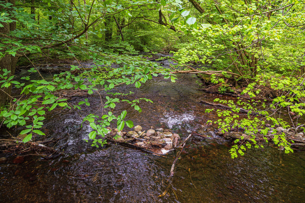 Landschaft im Nebeldurchbruchstal zwischen Serrahn und Kuchelmiß | Landschaft im Nebeldurchbruchstal zwischen Serrahn und Kuchelmiß.
