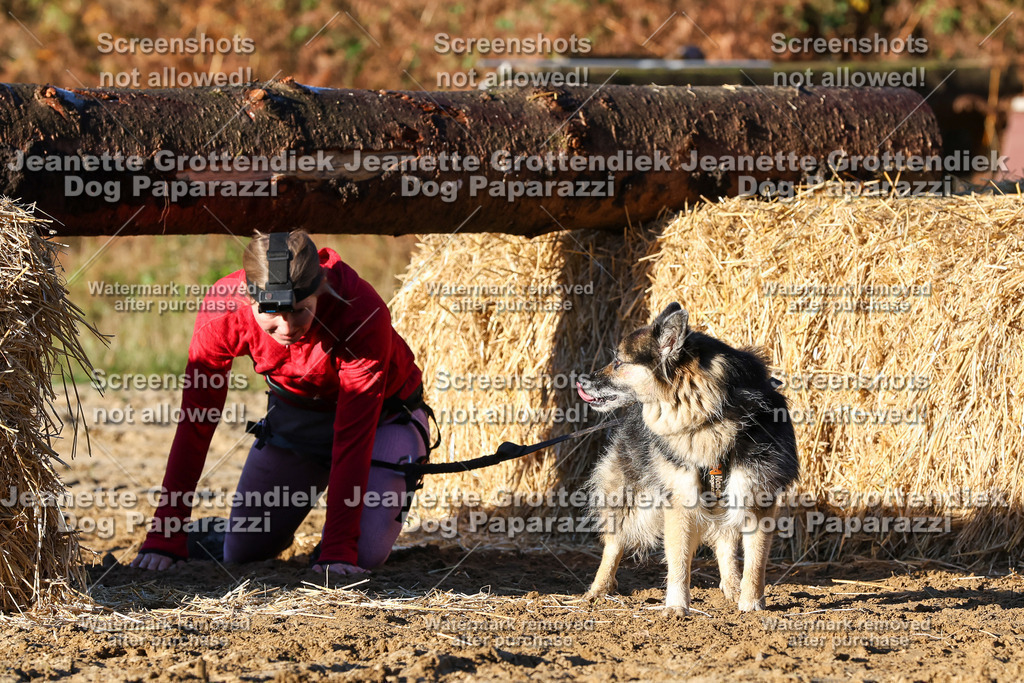 Dog Paparazzi - Strongdog 10-25-1126 | Dog Paparazzi Jeanette Grottendiek Fotografie & Videografie - Realisiert mit Pictrs.com
