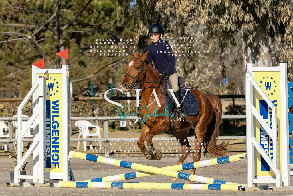 IMG_7746 | s-jay-photography - Realisiert mit Pictrs.com