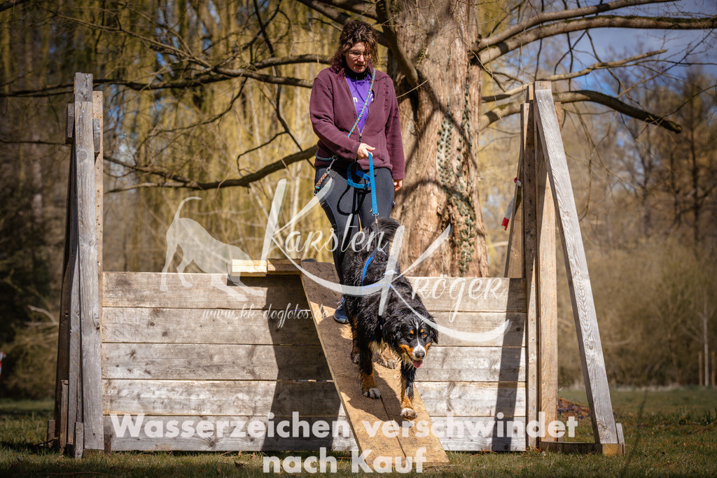 1037_ZZ97979 | kk-dogfotos