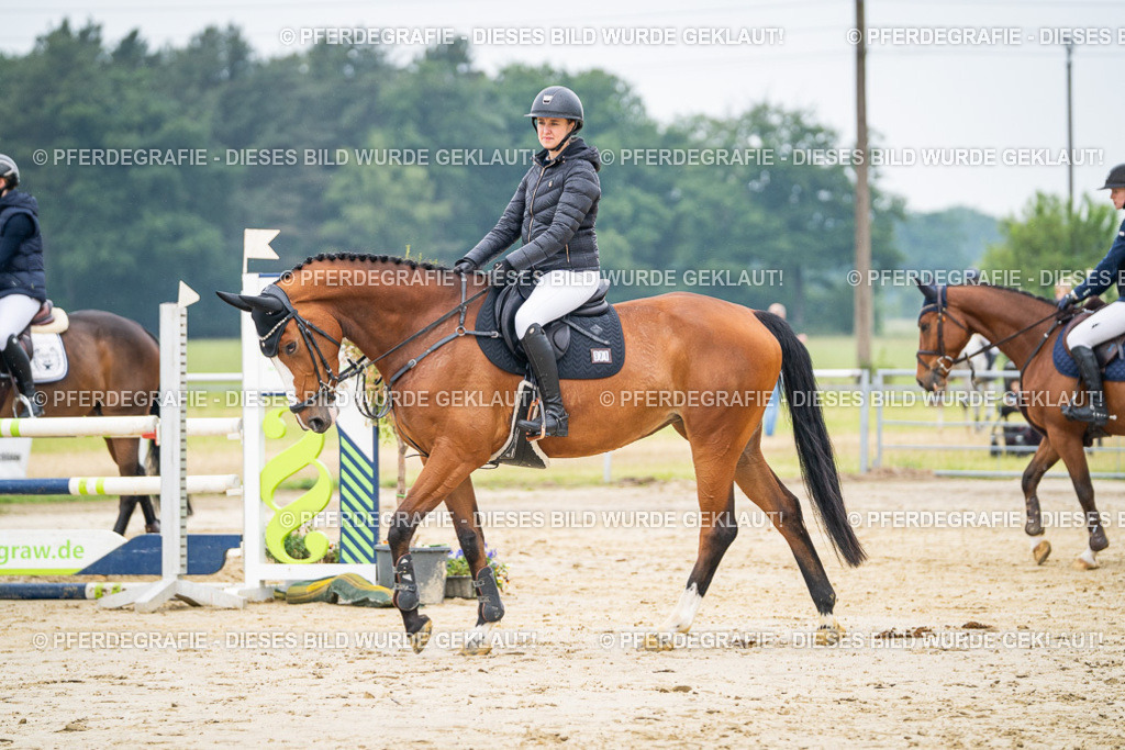 DSC09741 | Pferdegrafie