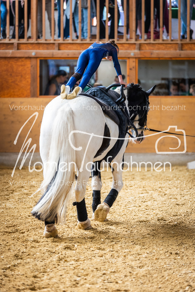 SS-Maxi-017 | MomenTaufnahmen Pferdesportfotos