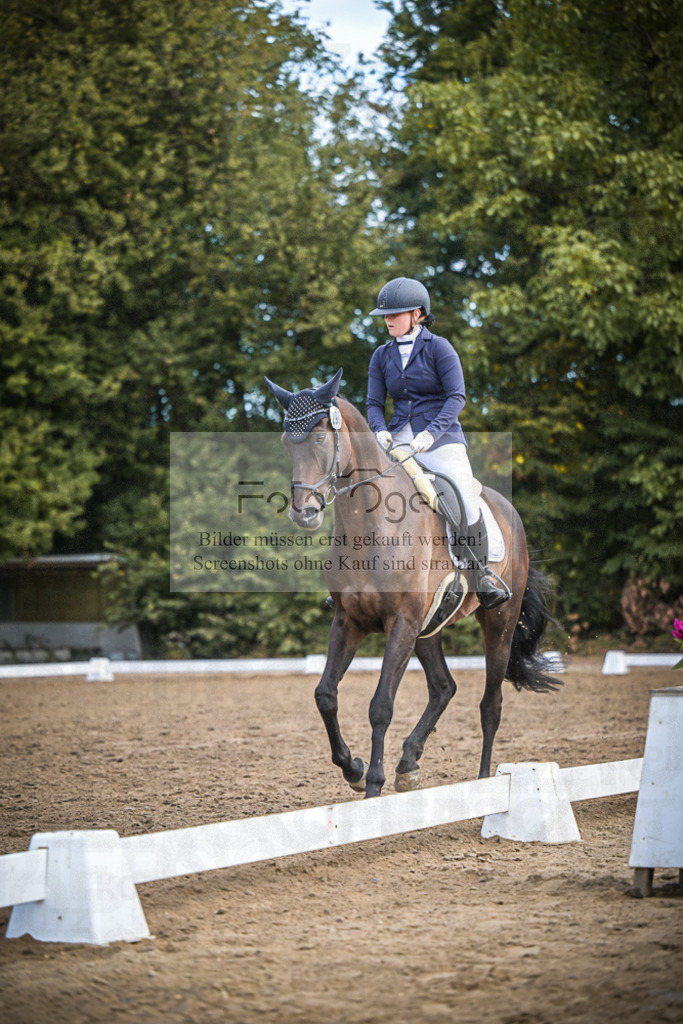 DOS_1699 | Entdecke hochwertige Reitturnierfotos von Foto Oger. Professionell, emotional und authentisch – jetzt Lieblingsmomente im Shop bestellen.Deutschlandweite Turnierfotografie. - Realisiert mit Pictrs.com