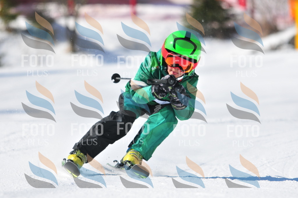 C2209 | holidayphoto