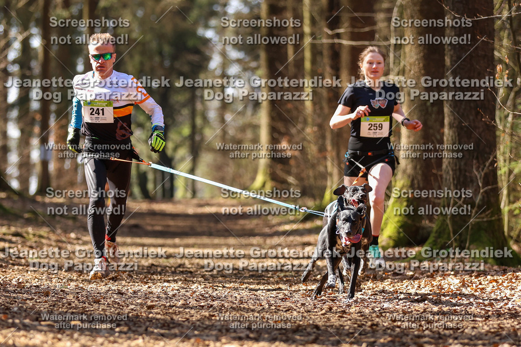 Dog Paparazzi - VCC26-1097 | Dog Paparazzi Jeanette Grottendiek Fotografie & Videografie - Realisiert mit Pictrs.com