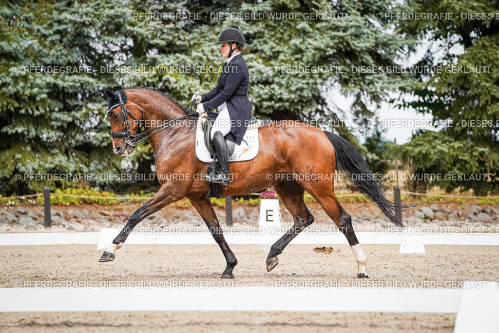 DSC06598 | Pferdegrafie