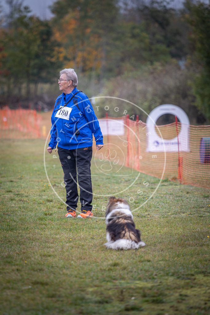 Pfotenfotografie_DV3A9549 | Hundefotografie, Tierfotograf, Pfotenfotografie, Fotoshooting Hund, Hunde Portrait, Hundesport, Hundeportraits, Heideshooting, Hunde, Sportfotograf, Hundefotograf, Turnierhundsport, THS,  - Realisiert mit Pictrs.com