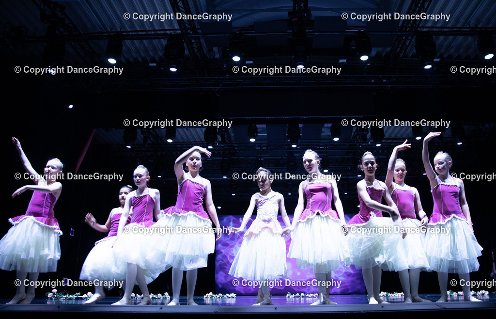 GPHY4811 | DanceGraphy - Realisiert mit Pictrs.com