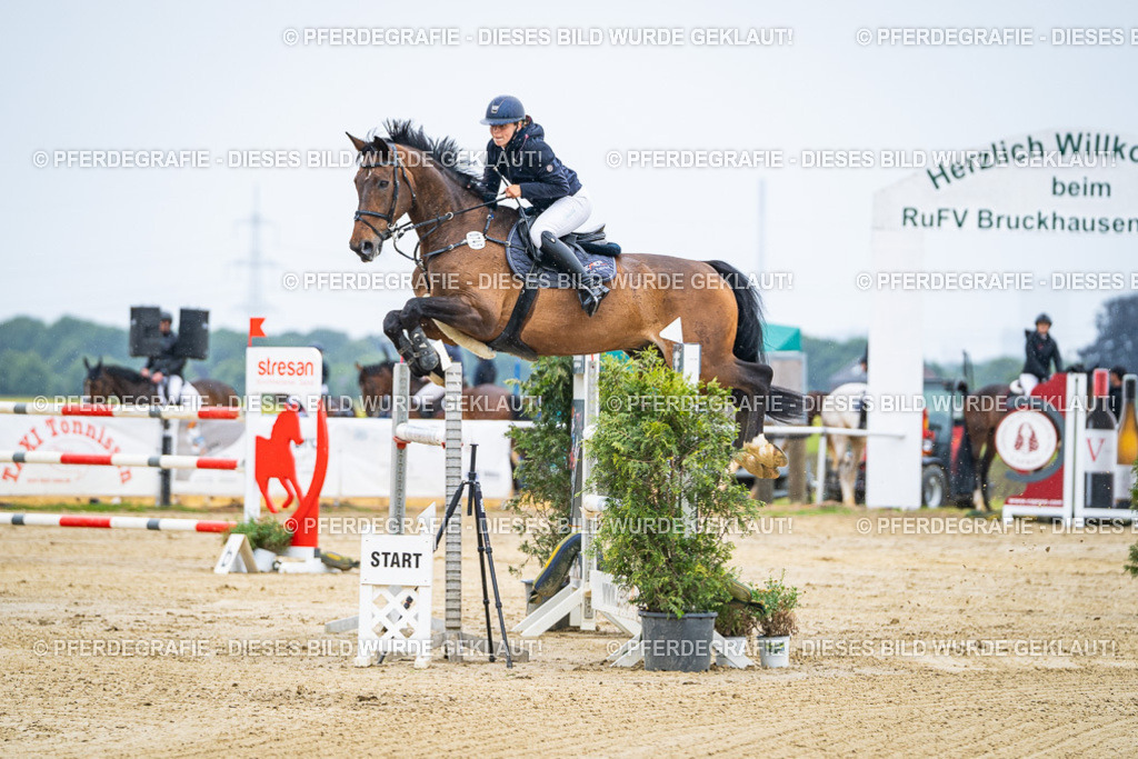 DSC08806 | Pferdegrafie