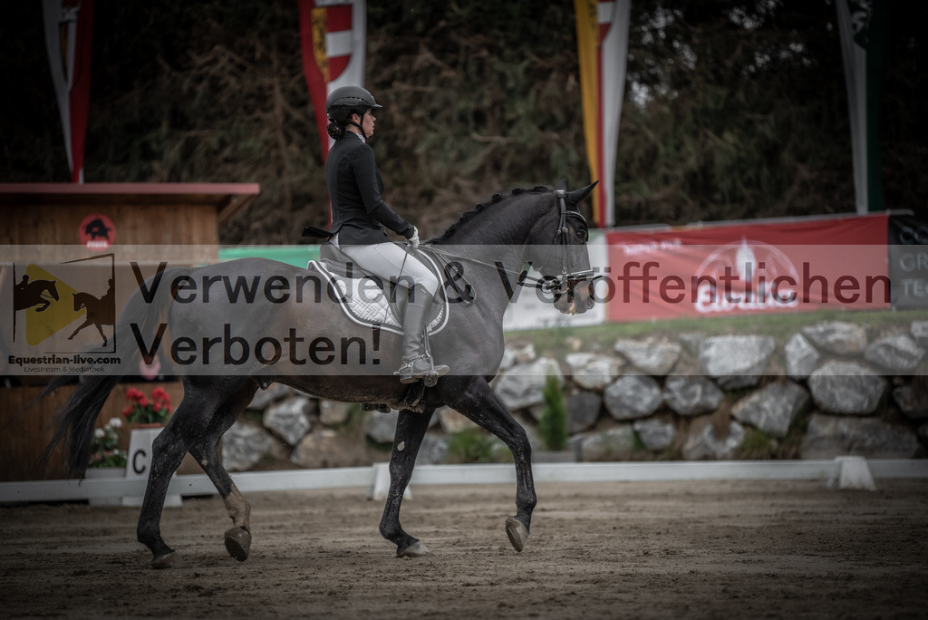 DSC_9276 | equestrian-live-com