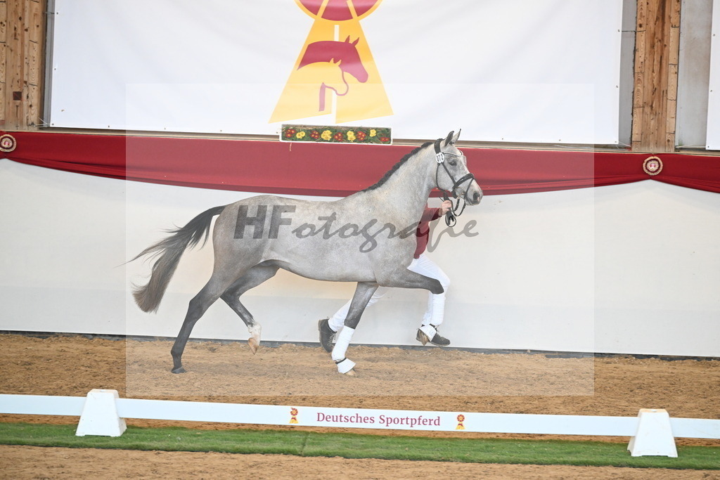 Kat.-Nr. 72 v. Johnson_Lehner_2250609 | hf-fotografie - Realisiert mit Pictrs.com