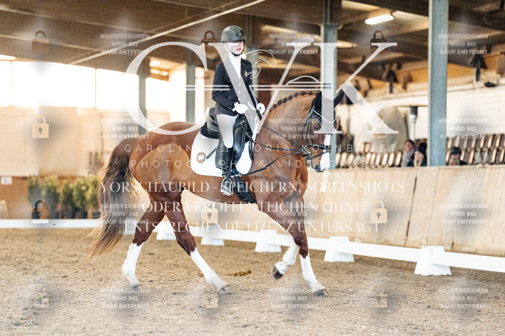 CK906745 | Turnierfotografie Pferdefotografie Trier Rheinland-Pfalz Pferdesport Reitsport Tierfotografie Sportfotografie Pferdevideo Pferdevideografie Equestrianvideography equestrianphotography  - Realisiert mit Pictrs.com