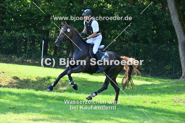 DSP Quickstep W_Bodo Battenberg_884_1072 | Björn Schroeder Pferdefotografie