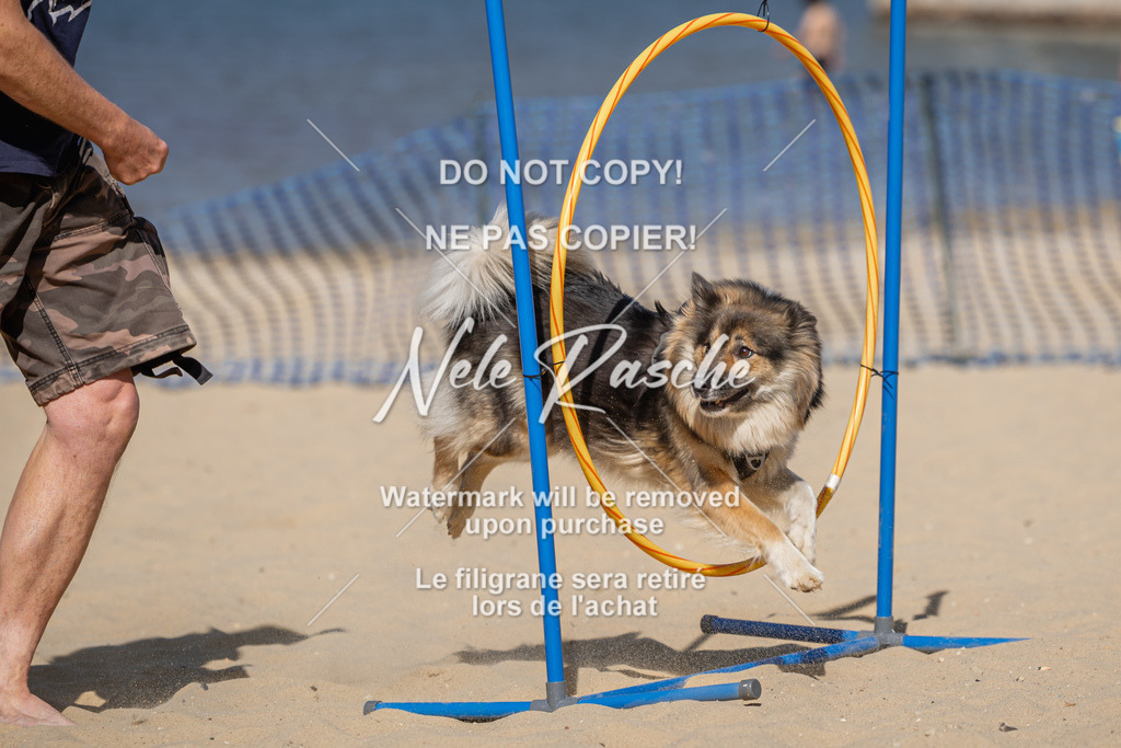 nelerasche_saBeachility_220 | nelerasche